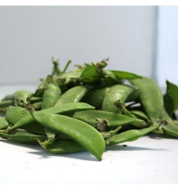 Pois gourmands (mangetouts)