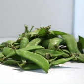 Pois gourmands (mangetouts)