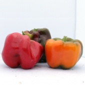 Poivrons couleurs