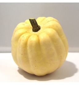 Courge “Acorn“ (environ 700g)