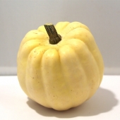 Courge “Acorn“ (environ 700g)