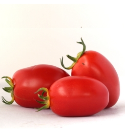 Tomates “Olivette“ (kg)