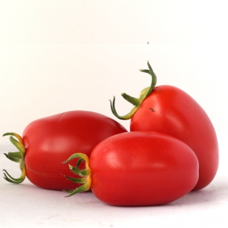 Tomates “Olivette“ (kg)