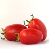 Tomates “Olivette“ (kg)