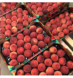 Nectarine jaune BIO