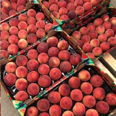 Nectarine jaune BIO
