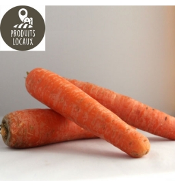 Carottes nouvelles (kg)