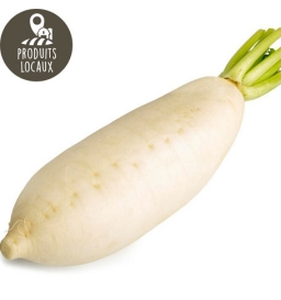Radis blanc japonais (kg)