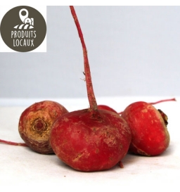 Betteraves rouges chioggia (kg)