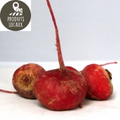 Betteraves rouges chioggia (kg)