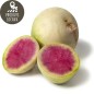 Radis rave red meat (kg) Radis rave red meat (kg)