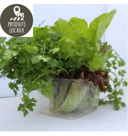 barquette de mesclun