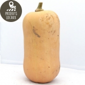 Courge “Butternut“ (environ 1 kg)