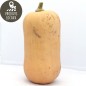 Courge “Butternut“ (environ 1 kg)