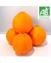 Oranges BIO "navel"