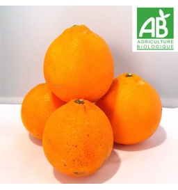 Oranges BIO "DOUCE"