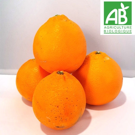 Oranges BIO "navel"