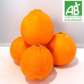 Oranges BIO "DOUCE"