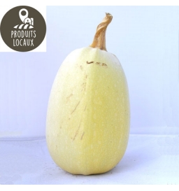 Courge “Spaghetti“ (environ 1.3 kg)