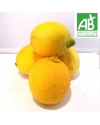 Citrons BIO