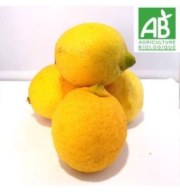 Citrons BIO