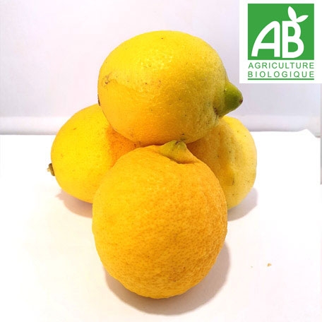 Citron jaune à feuilles BIO (Corse) (kg)
