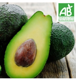 Avocat Hass BIO