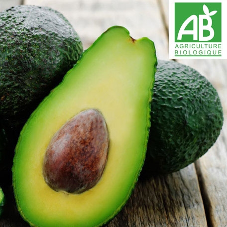 Avocat Hass BIO (ITALIE)