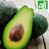 Avocat Hass BIO