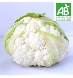 Chou fleur BIO