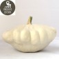 Patisson (environ 1.2 kg)