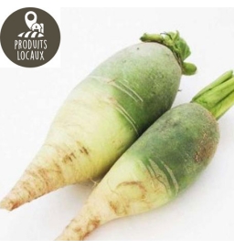 Radis rave green meat (500g)