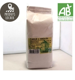 Farine 6 céréales BIO (1kg)