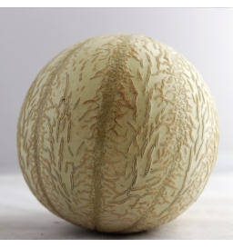 Melon