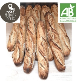 Tradition BIO (300g)