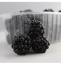 Mûres (250g) - Ecocinelle