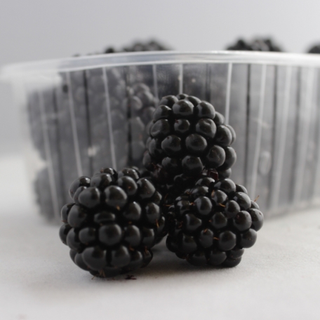Mûres (250g)
