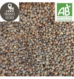 lentilles vertes BIO