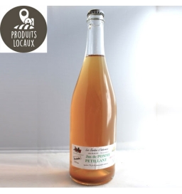 Petillant de pomme 75cl