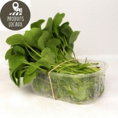 barquette de pourpier