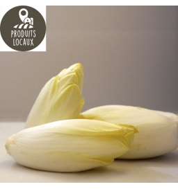 Endives pleine terre