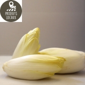 Endives pleine terre