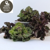 Choux Flower Sprouts