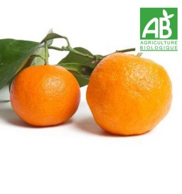 Mandarines BIO