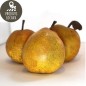 Poires Passe Crassane (kg)