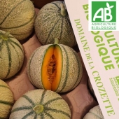 Melon charentais BIO