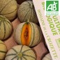 Melon charentais BIO