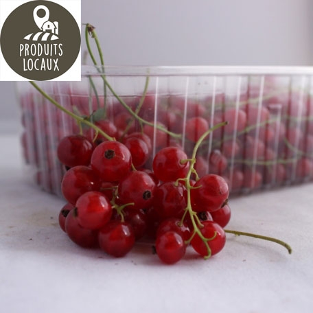 Groseilles rouges (330g)