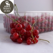 groseilles rouges