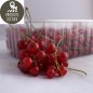 Groseilles rouges (330g)